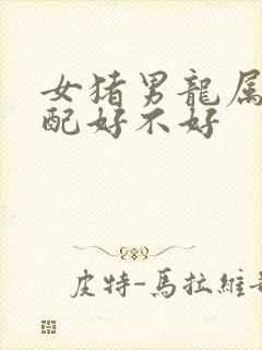 女猪男龙属相婚配好不好