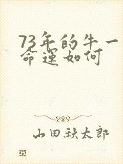 73年的牛一生命运如何封面