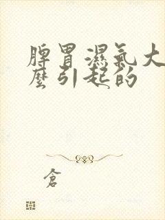 脾胃湿气大是怎么引起的