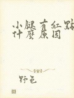 小腿有红点痒是什么原因