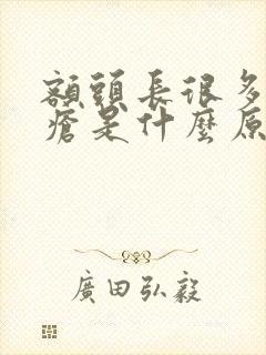 额头长很多小痤疮是什么原因