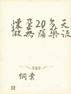 怀孕20多天能做无痛药流吗