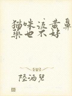 猫咪流黄鼻涕吃药也不好