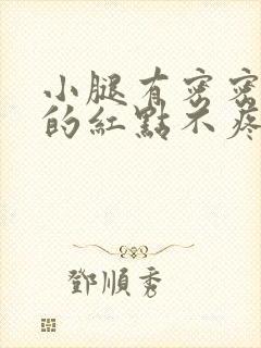 小腿有密密麻麻的红点不疼不痒