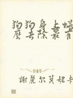 狗狗身上螨虫怎么去除最有效