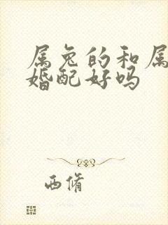 属兔的和属蛇的婚配好吗封面