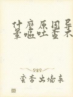 什么原因导致头晕呕吐查不出病因