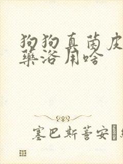 狗狗真菌皮肤病药浴用啥