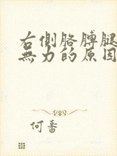 右侧胳膊腿酸软无力的原因