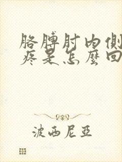 胳膊肘内侧里面疼是怎么回事