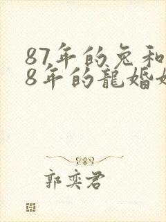 87年的兔和88年的龙婚姻怎么样