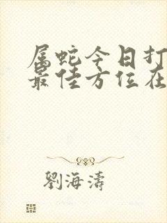 属蛇今日打麻将最佳方位在哪里