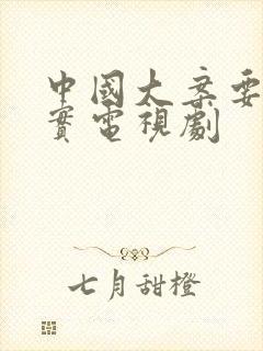 中国大案要案纪实电视剧