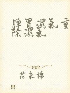 脾胃湿气重怎么除湿气