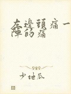 左边头痛一阵一阵的痛封面