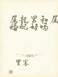 属龙男和属马女婚配好吗