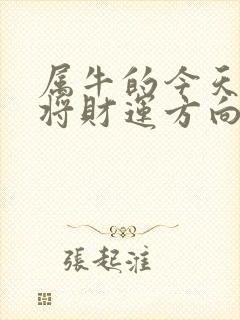 属牛的今天打麻将财运方向