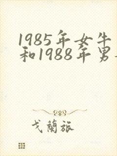 1985年女牛和1988年男龙2023年运势封面