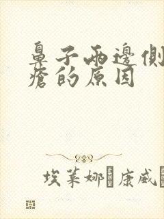 鼻子两边侧长痤疮的原因