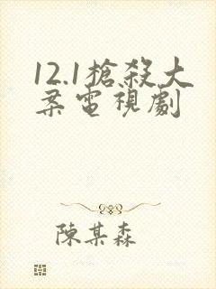 12.1枪杀大案电视剧封面