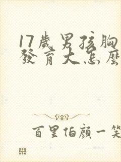 17岁男孩胸部发育大怎么回事