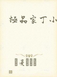 极品家丁小说封面