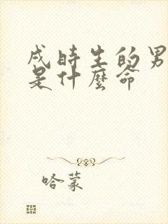 戌时生的男孩子是什么命