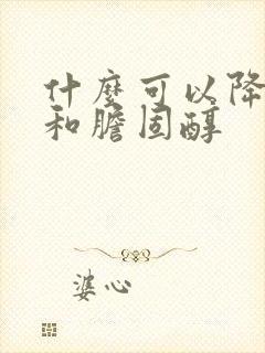 什么可以降血脂和胆固醇