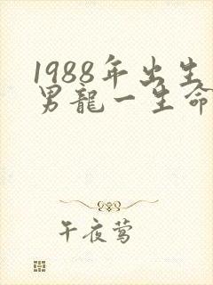 1988年出生男龙一生命运