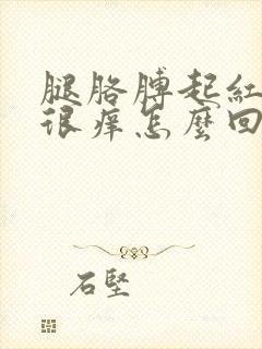 腿胳膊起红疙瘩很痒怎么回事封面