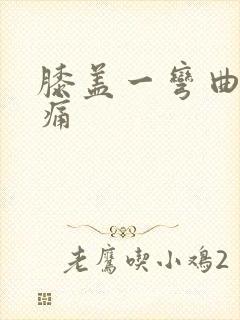 膝盖一弯曲就疼痛封面