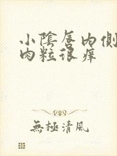 小阴唇内侧长小肉粒很痒