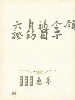 六月适合领结婚证的日子封面