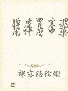 脾虚胃寒湿气重用什么中药调理