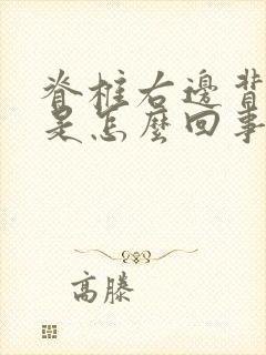 脊椎右边背部疼是怎么回事封面