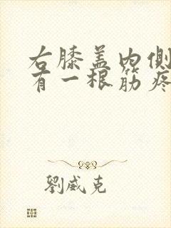 右膝盖内侧感觉有一根筋疼