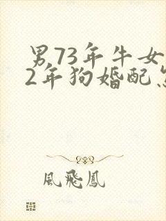 男73年牛女82年狗婚配怎么样封面
