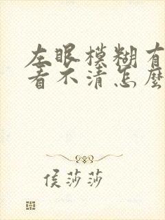 左眼模糊有黑影看不清怎么办