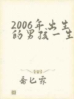 2006年出生的男孩一生命运