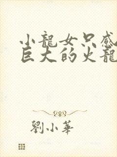 小龙女只感觉那巨大的火龙枪