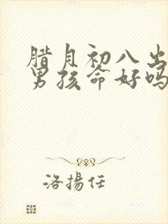 腊月初八出生的男孩命好吗