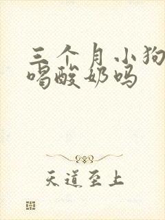 三个月小狗可以喝酸奶吗