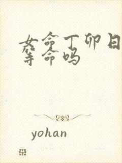 女命丁卯日是上等命吗