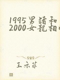 1995男猪和2000女龙相配吗