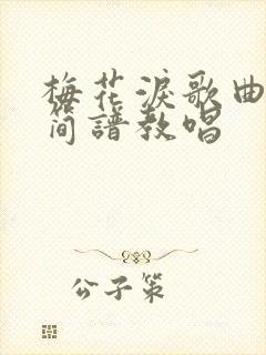 梅花泪歌曲原唱简谱教唱