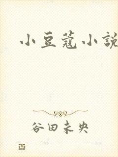 小豆蔻小说