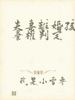 夫妻离婚孩子抚养权判定封面