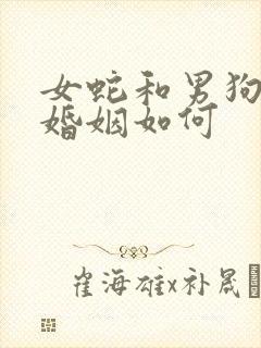 女蛇和男狗相配婚姻如何