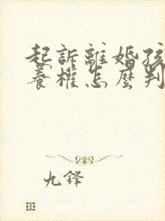 起诉离婚孩子抚养权怎么判决封面