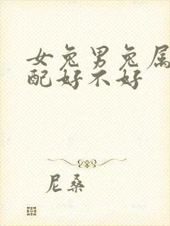 女兔男兔属相婚配好不好